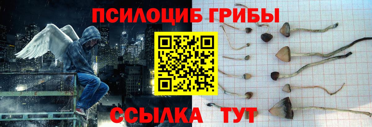 Псилоцибиновые грибы Psilocybine cubensis Ейск