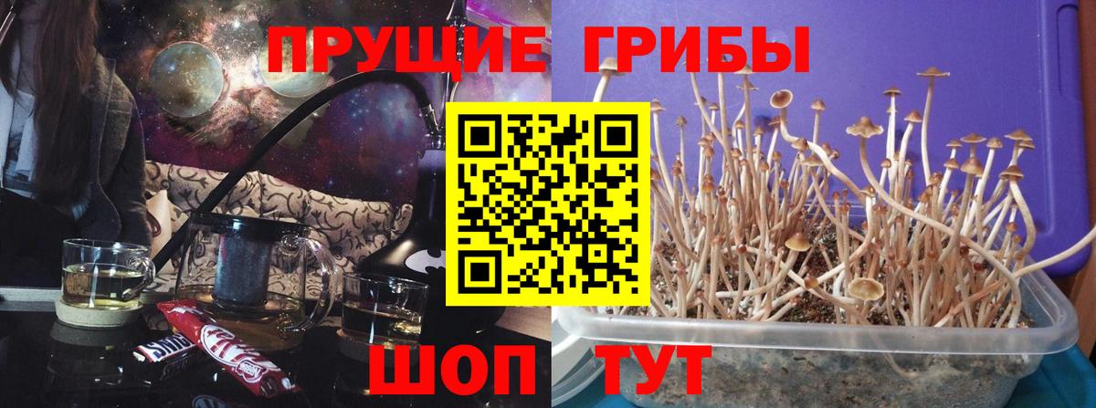 где найти наркотики  Галлюциногенные грибы ЛСД  Вход с VPN  Ейск 